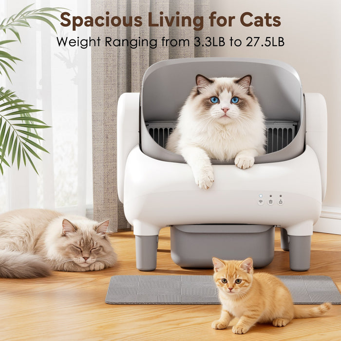 ClearStep™ – Open-Top Self-Cleaning Litter Box