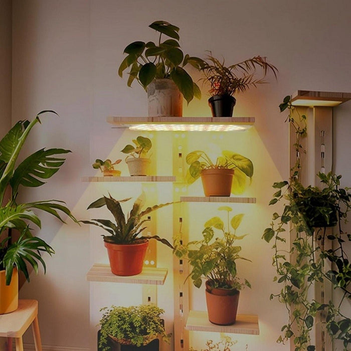 SeedRay - Grow Lights for Indoor Plants