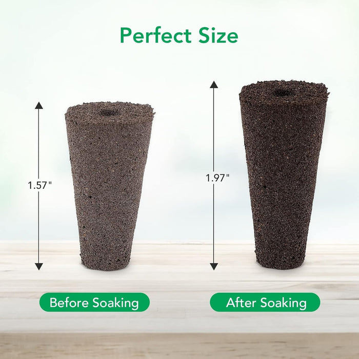 SprigNest - Grow Sponges Seed Starter Kit