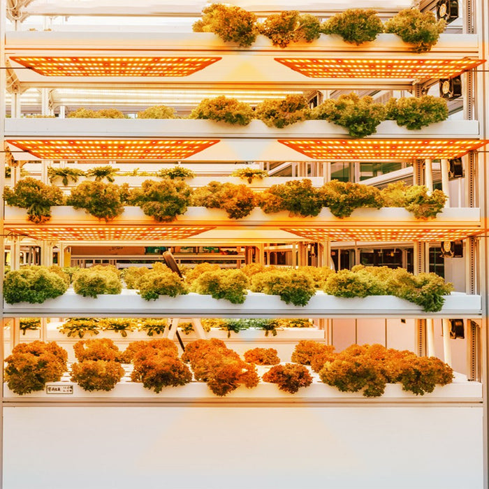 PlantBeam - Indoor LED Plant Grow Light