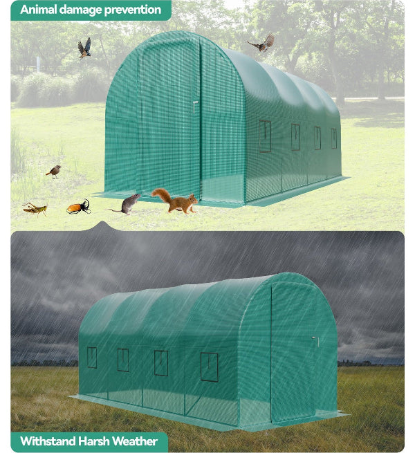GreenCrest - Heavy Duty Walk-in Green House
