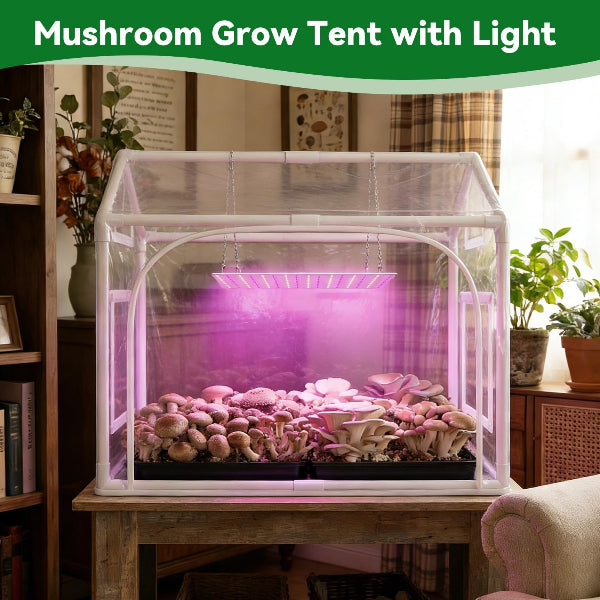 Seedlyft - Mini Indoor Greenhouse with Grow Lights