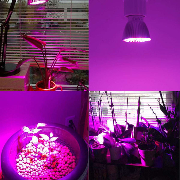 LeafBright - 100W Full Spectrum E27 LED Grow Light Bulbs