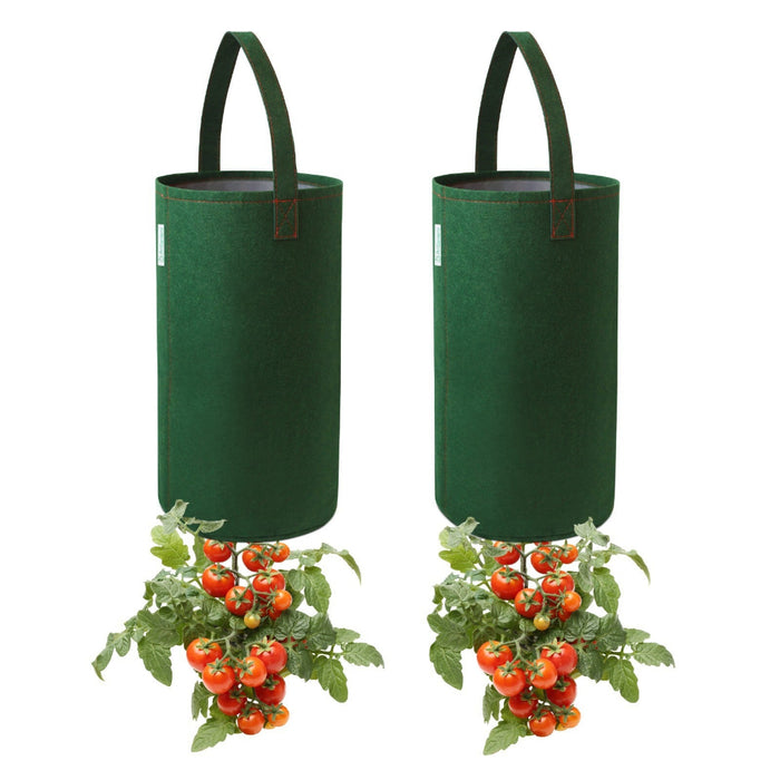 TerraFlip - Upside Down Tomato Planter