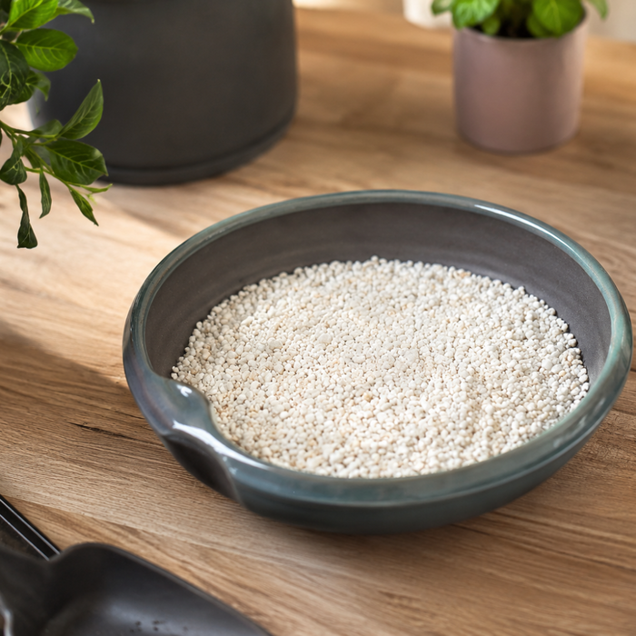 10Qt Horticultural Perlite
