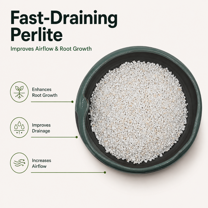 10Qt Horticultural Perlite