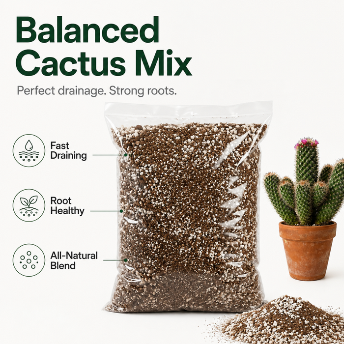 Premium Perlite & Vermiculite Mix