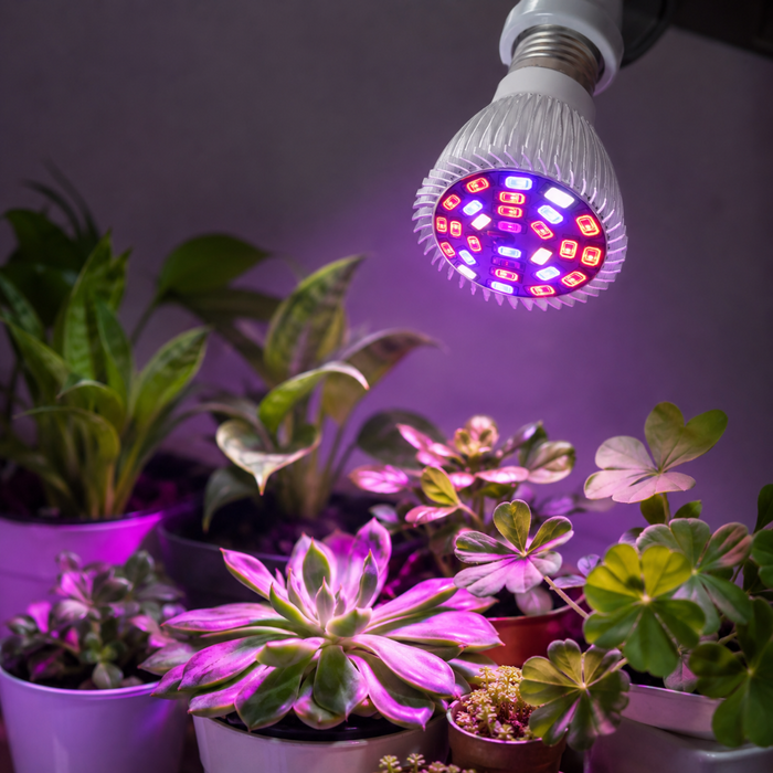 2 pcs 100W LED Grow Light Bulbs