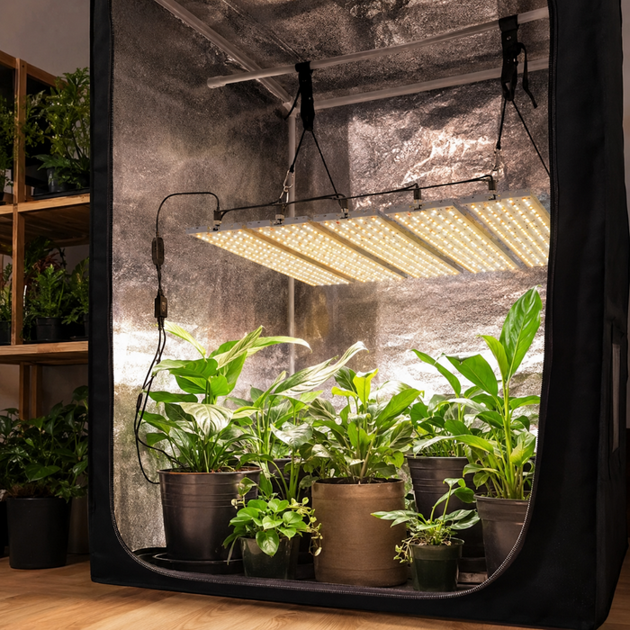 10 Levels LED Grow Light
