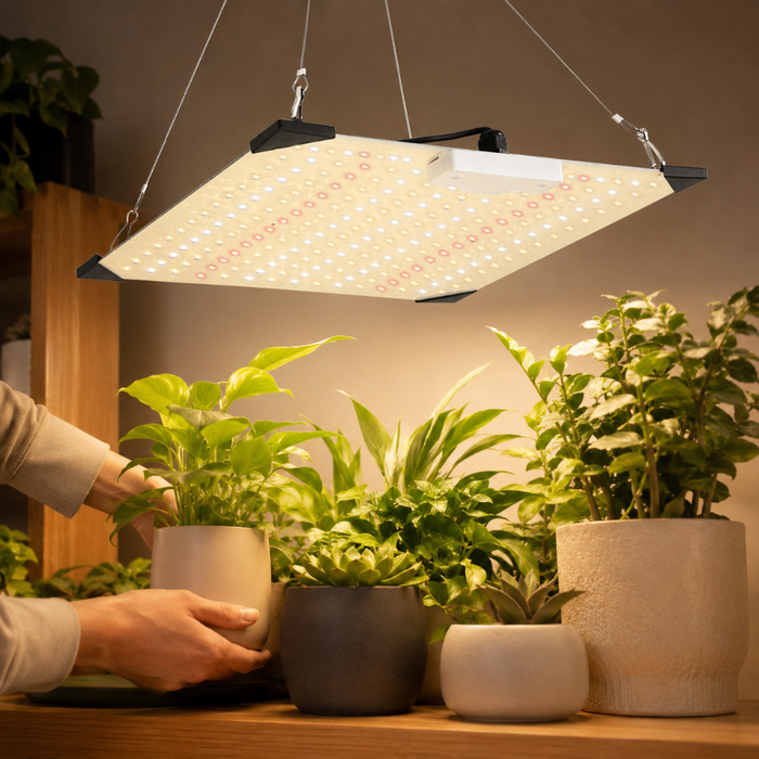 Cloudelle - Full Spectrum LED Indoor Plant Grow Light