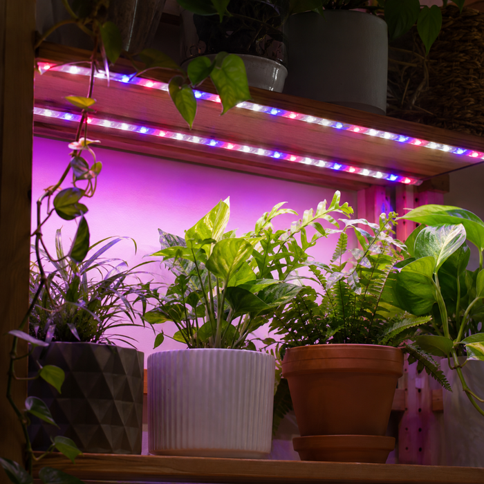 VineGlow - Linkable Grow Light Strips