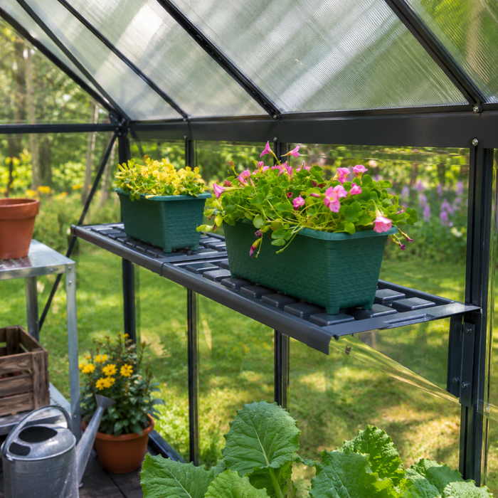 Greenhouse Twin Shelf Kit