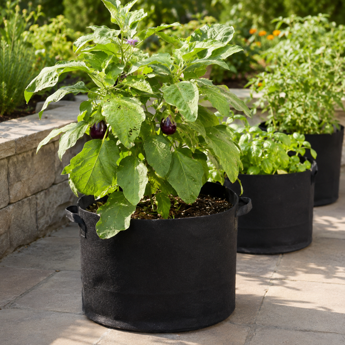 20pcs Planting Grow Bags with Handle
