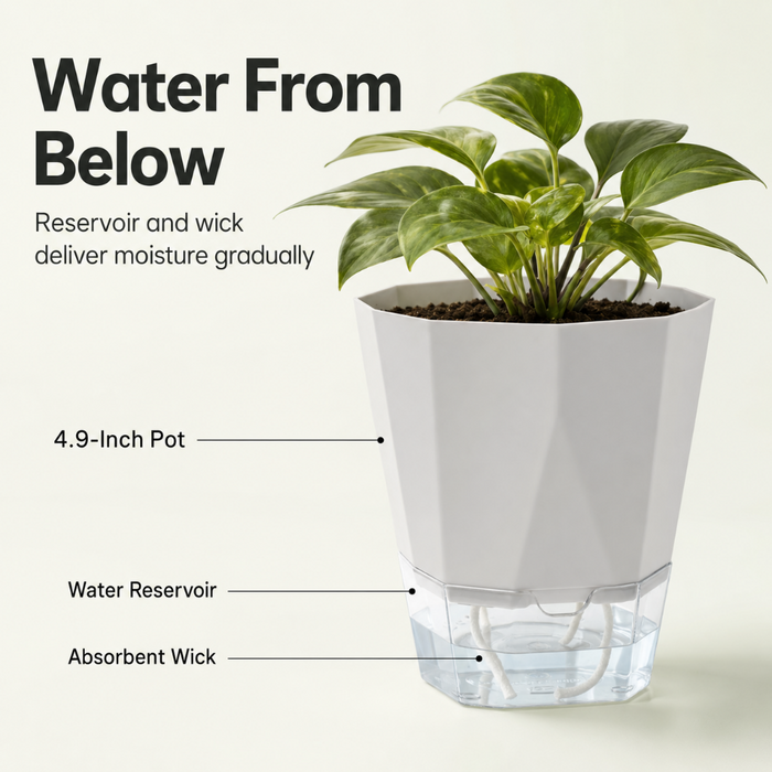 BloomDock - Self Watering Planter Pots