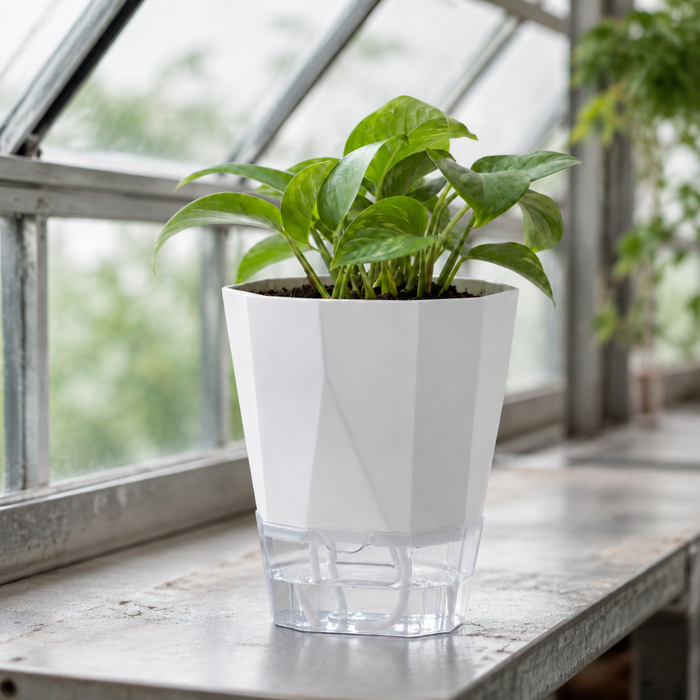 BloomDock - Self Watering Planter Pots