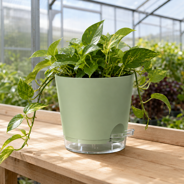PureDrop - Self-Watering Indoor Planters