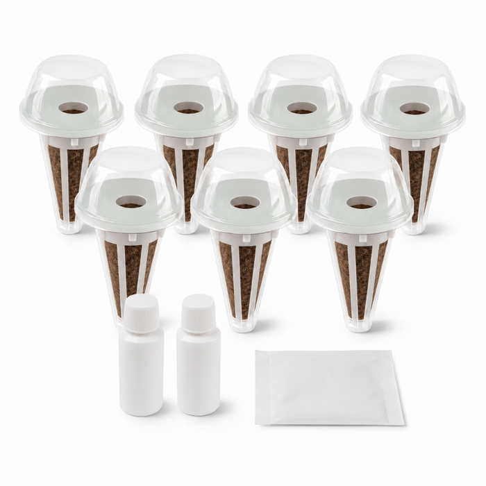 Seed Pod Kit - 350 Seeds
