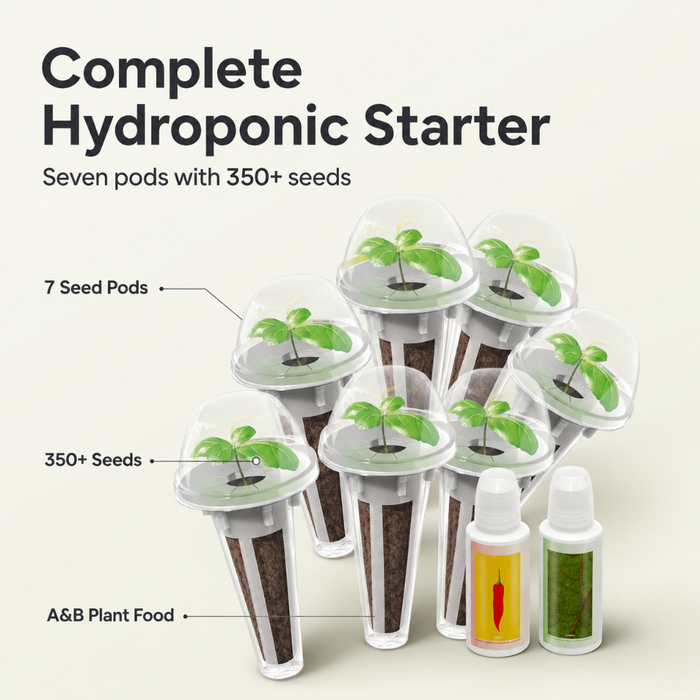 Seed Pod Kit - 350 Seeds