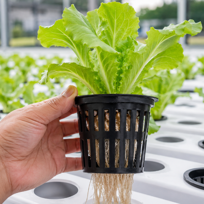 TerraMesh - Professional Hydroponic Net Pots