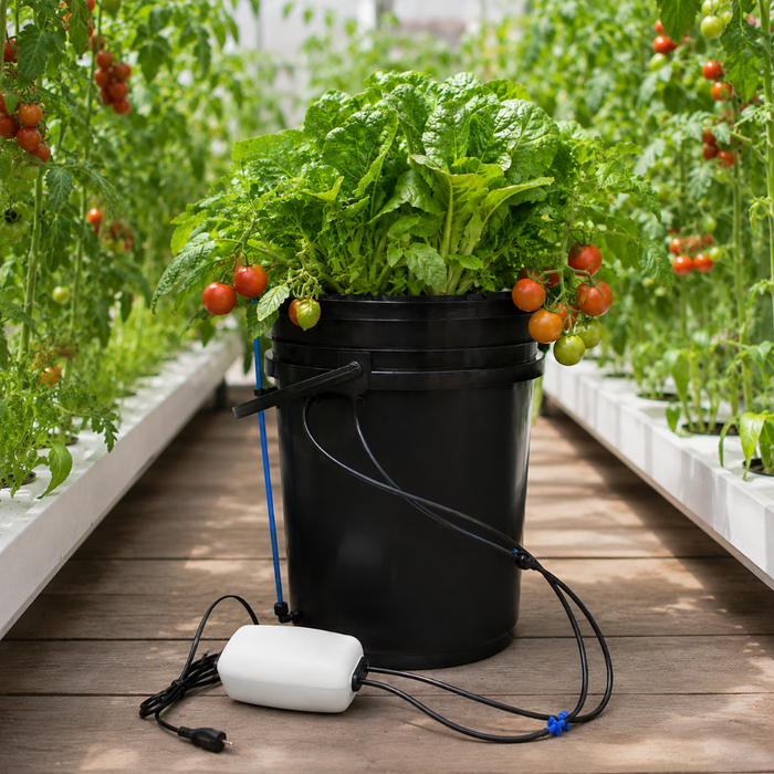 RootVault - Deep Water Culture Bucket System