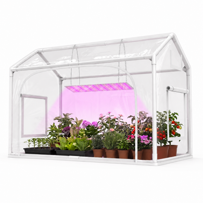 Mini Indoor Greenhouse with Grow Lights