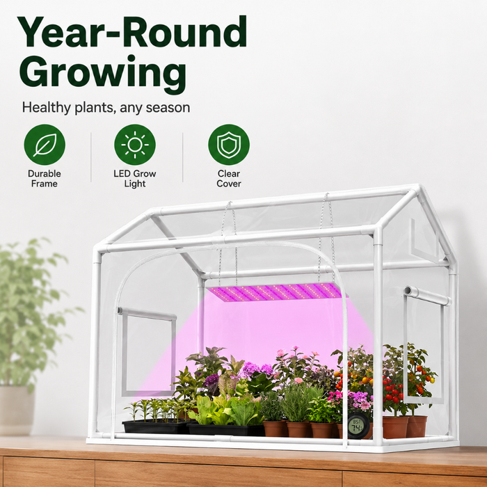 Mini Indoor Greenhouse with Grow Lights