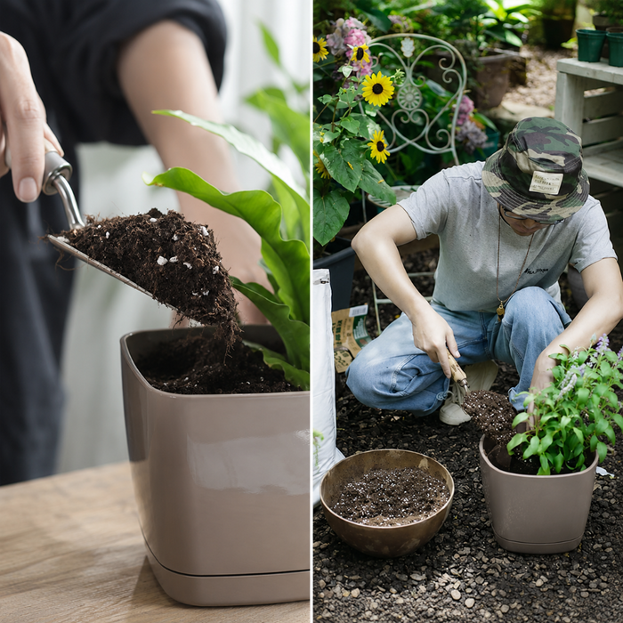 1Qt Houseplant Potting Mix