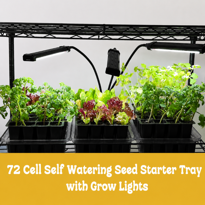 SeedRise - 72 Cell Seed Starter Kit