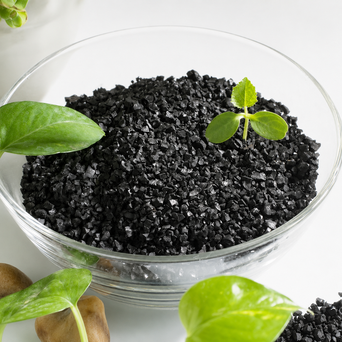 BlackEarth - Granular Humic Fulvic Acid Powder