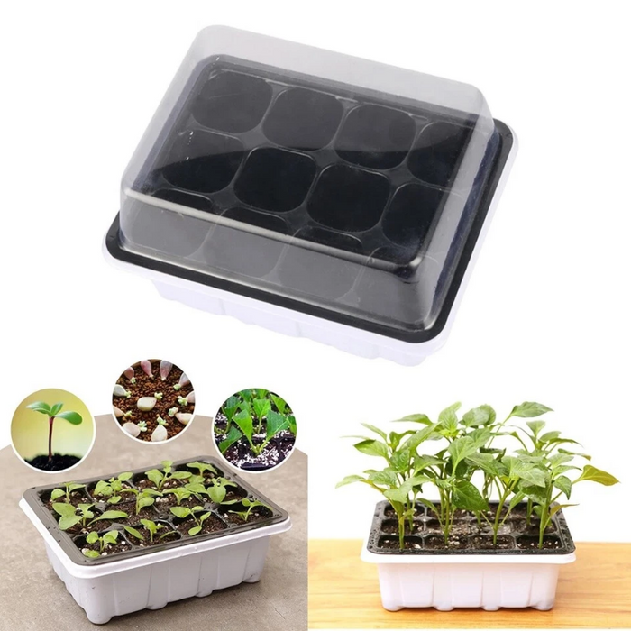 GrowLid - Greenhouse Seedling Tray
