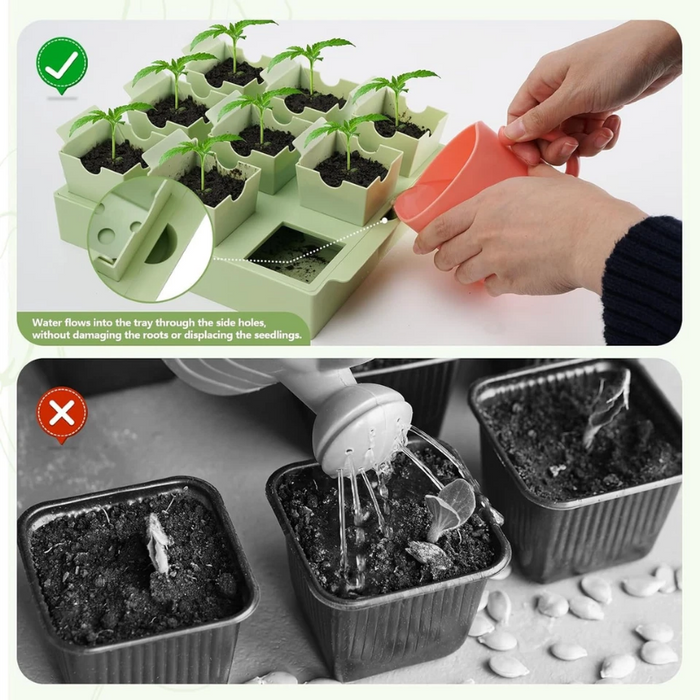 SproutBase - Extra-Thick Reusable Germination Kit