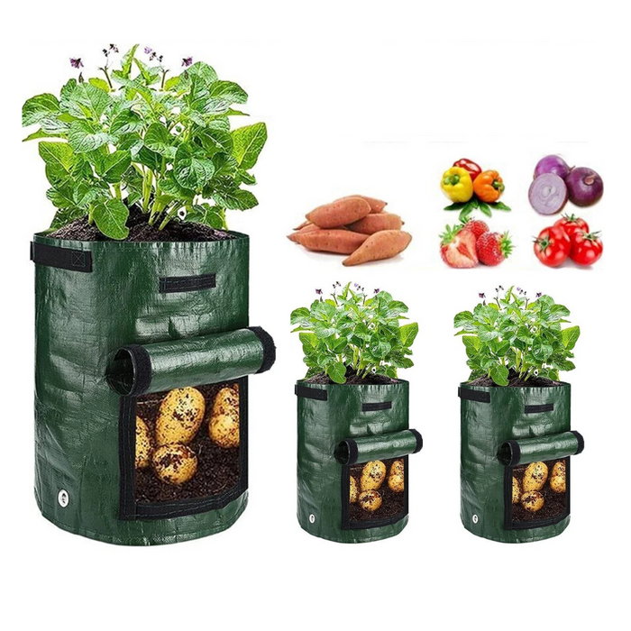 HarvestPeek - 3-Pack Potato Grow Bags