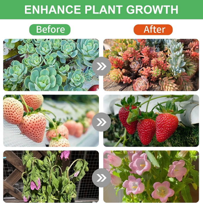 SolarBloom - Pro Grow Light