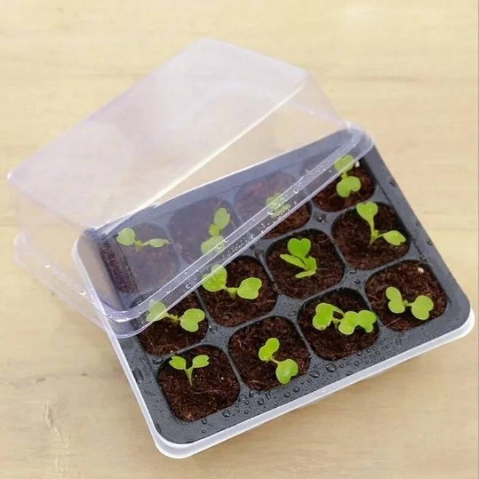 GrowLid - Greenhouse Seedling Tray