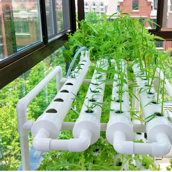 FreshFrame - Hydroponic Grow Kit