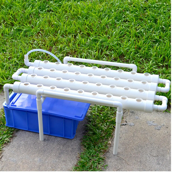 FreshFrame - Hydroponic Grow Kit