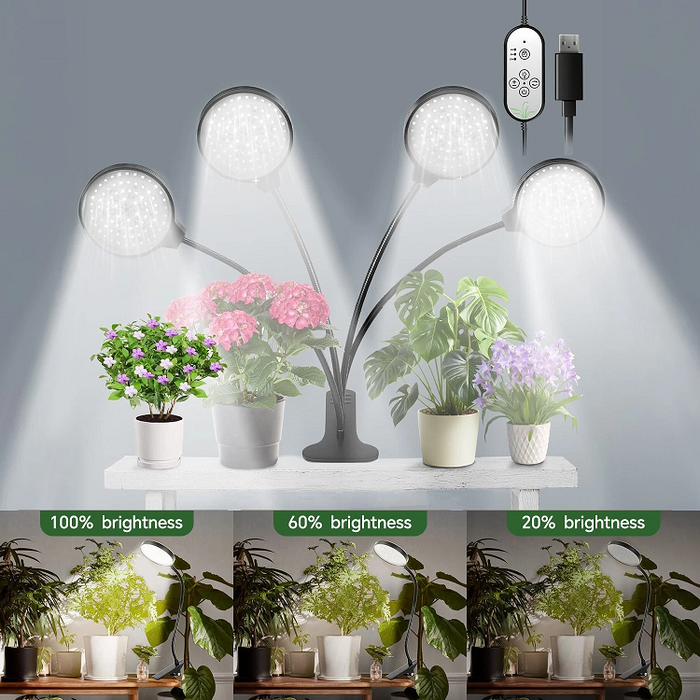BloomBeam - Indoor LED Grow Lights