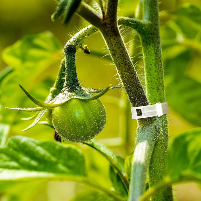 ClearGrip - Plant Trellis Clips