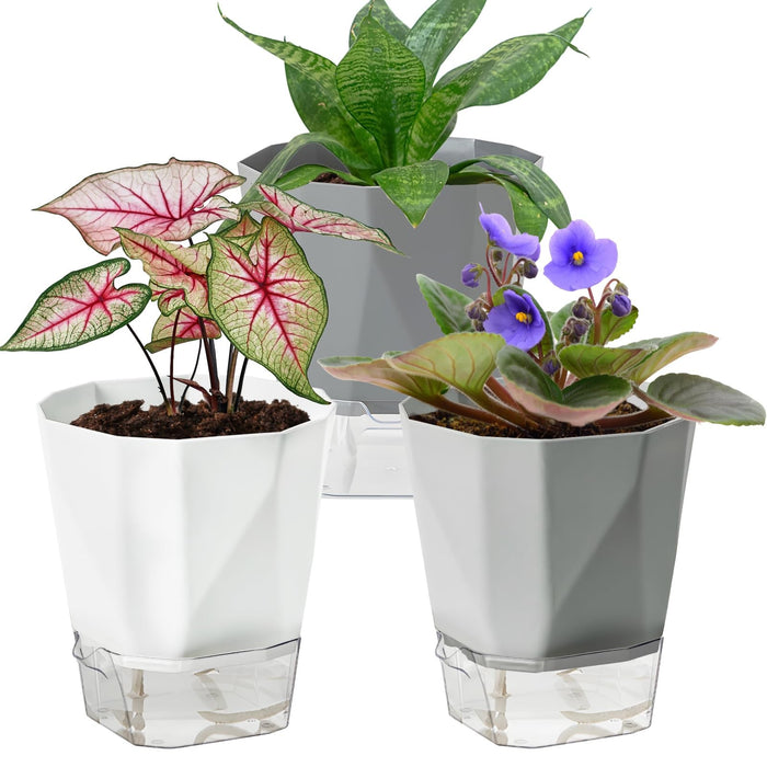 BloomDock - Self Watering Planter Pots