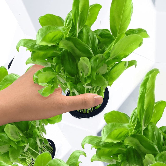 UpGarden - Vertical Hydroponic Garden Tower