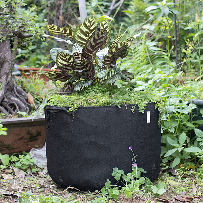 GrowNest - Planting Grow Bags w/ Handle