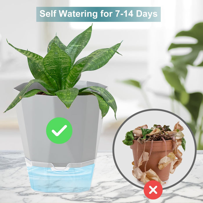BloomDock - Self Watering Planter Pots