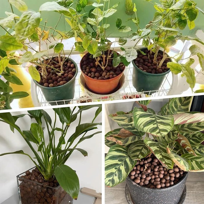 AeroClay - Plant Expanded Clay Pebbles