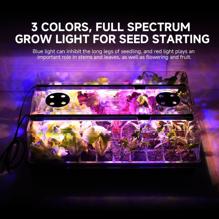 HarvestStart - Seed Starter Trays with Grow Lights