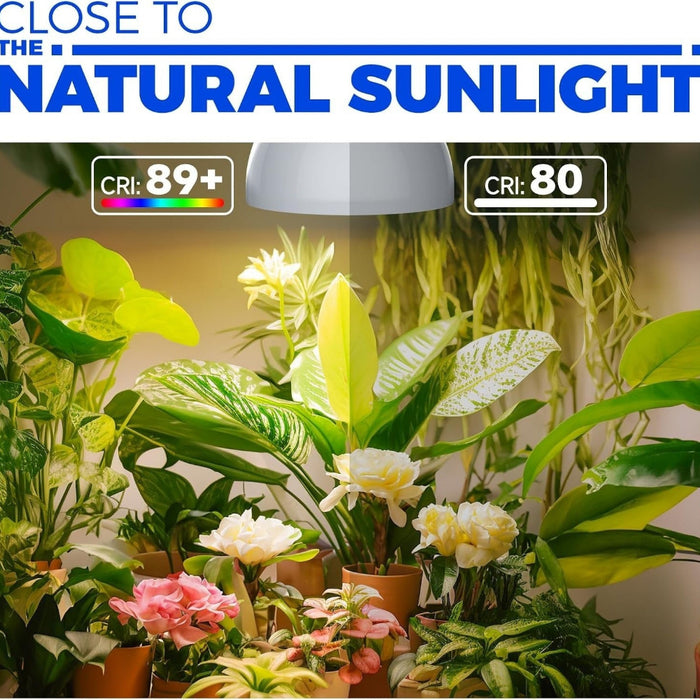 BloomCord - Hanging Grow Lights for Indoor Plants