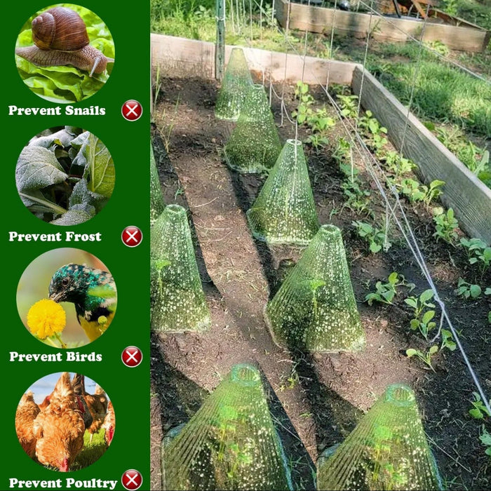 GrowCaps - Garden Cloches for Plants