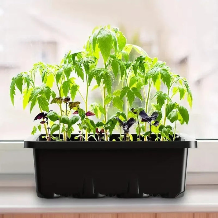 GermiGlow - Seed Starting Trays Kits