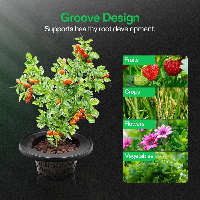 ThriveTank - Hydro Grow Kit