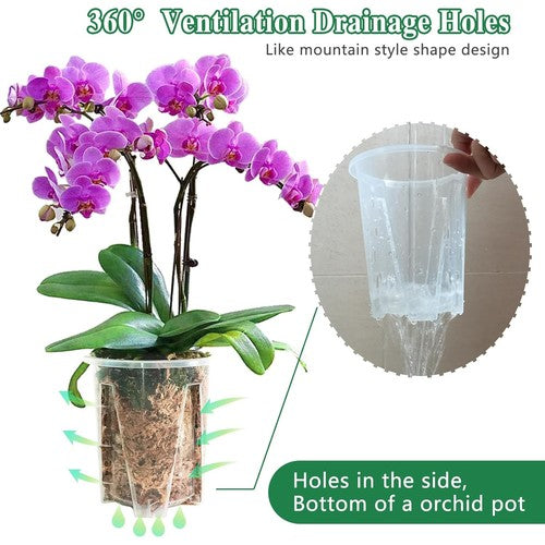 GrowGlass - Clear Nursery Pots with Drainage and Saucers