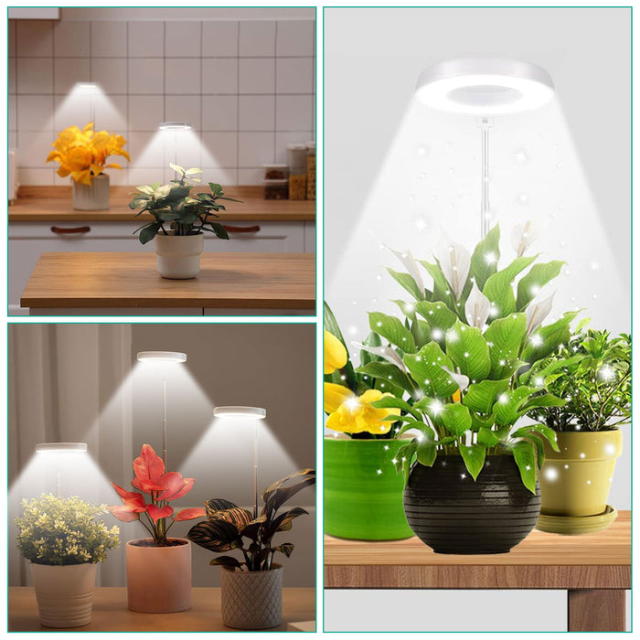 BrightFern - Halo Grow Lamp